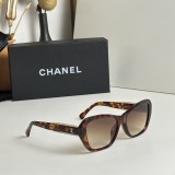 C *HANEL Sunglass shangmei 23120612