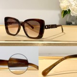 C *HANEL Sunglass shangmei 23120613