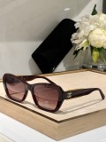 C *HANEL Sunglass shangmei 23120609