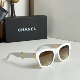 C *HANEL Sunglass shangmei 23120604