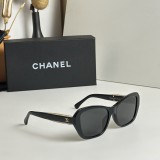 C *HANEL Sunglass shangmei 23120612