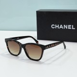 C *HANEL Sunglass shangmei 23120607