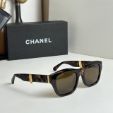 C *HANEL Sunglass shangmei 23120604