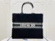 Dior Original mini Dior lady DMZ1210004