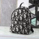 Dior Original Backpack DMZ1210007
