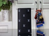 Louis vuitton original Damier Graphite and Epi Brazza wallet MX24010610