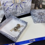 Dior 1:1 jewelry earring YY24011711