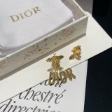 Dior 1:1 jewelry earring YY24011712