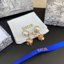 Dior 1:1 jewelry earring YY24011710