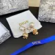 Dior 1:1 jewelry earring YY24011710