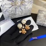 Dior 1:1 jewelry earring YY24011710