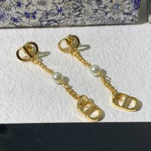 Dior 1:1 jewelry earring YY24011709