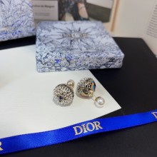 Dior 1:1 jewelry earring YY24011711