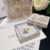 Dior 1:1 jewelry earring YY24011712