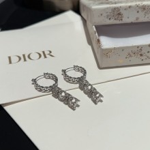 Dior 1:1 jewelry earring yy24022718