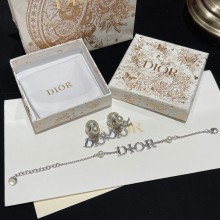 Dior 1:1 jewelry earring yy24022719