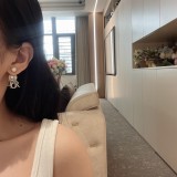 Dior 1:1 jewelry earring yy24022719