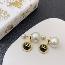 Dior 1:1 jewelry earring yy24022721