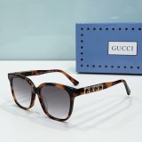 G*UCCI Sunglass shangmei 24030406