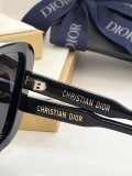 D*IOR Sunglass shangmei 24030510