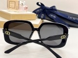 D*IOR Sunglass shangmei 24030510