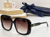 D*IOR Sunglass shangmei 24030510