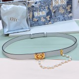 D*IOR original belt 6 colors 24030607