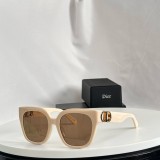 D*IOR Sunglass shangmei 24031507