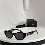 D*IOR Sunglass shangmei 24031506