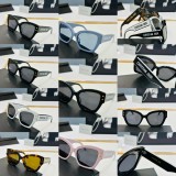 D*IOR Sunglass shangmei 23031520