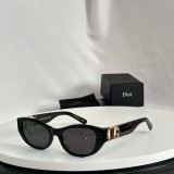 D*IOR Sunglass shangmei 24031506