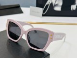 D*IOR Sunglass shangmei 23031520