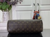 Louis vuitton monogram CARRYALL MM handbag MX24032118