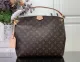 Louis vuitton monogram CARRYALL MM handbag MX24032118