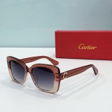 Cartie* Sunglass shangmei 24040816