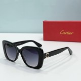 Cartie* Sunglass shangmei 24040816