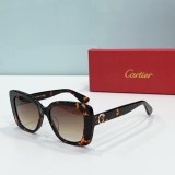 Cartie* Sunglass shangmei 24040816