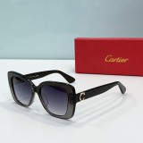 Cartie* Sunglass shangmei 24040816