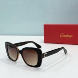 Cartie* Sunglass shangmei 24040816