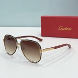 Cartie* Sunglass shangmei 24040807