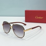 Cartie* Sunglass shangmei 24040807