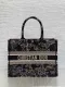 Dior Book Tote bag in embroidered canvas GZ24040816