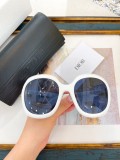 D*IOR Sunglass shangmei 24040805