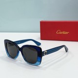 Cartie* Sunglass shangmei 24040816