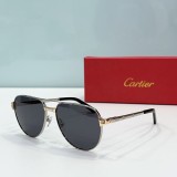 Cartie* Sunglass shangmei 24040810