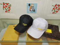 F* ENDI Hat AN 24040901