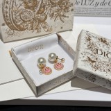 Dior 1:1 jewelry earring yy24041808