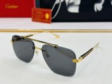 Cartie* Sunglass shangmei 24042401