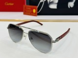 Cartie* Sunglass shangmei 24042411