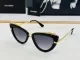 D*G Sunglass shangmei 24042419